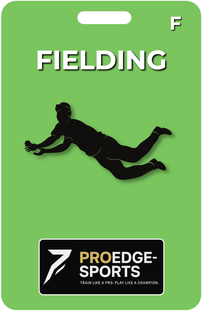 ProEdge Cricket Fielding Training Pack - Professional cricket coaching cue cards